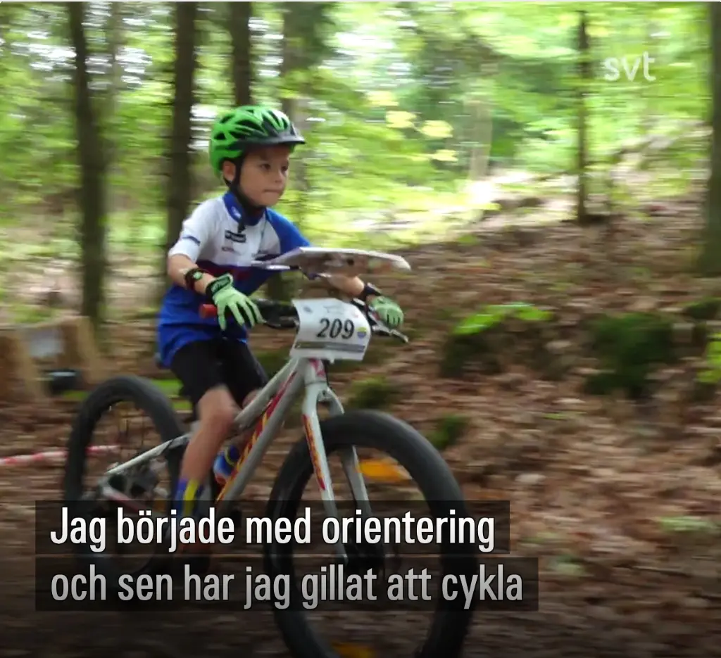 Full fart i skogen