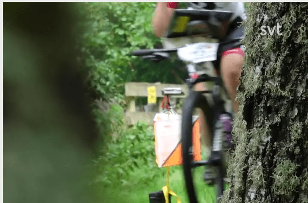 MTBO i bokskog