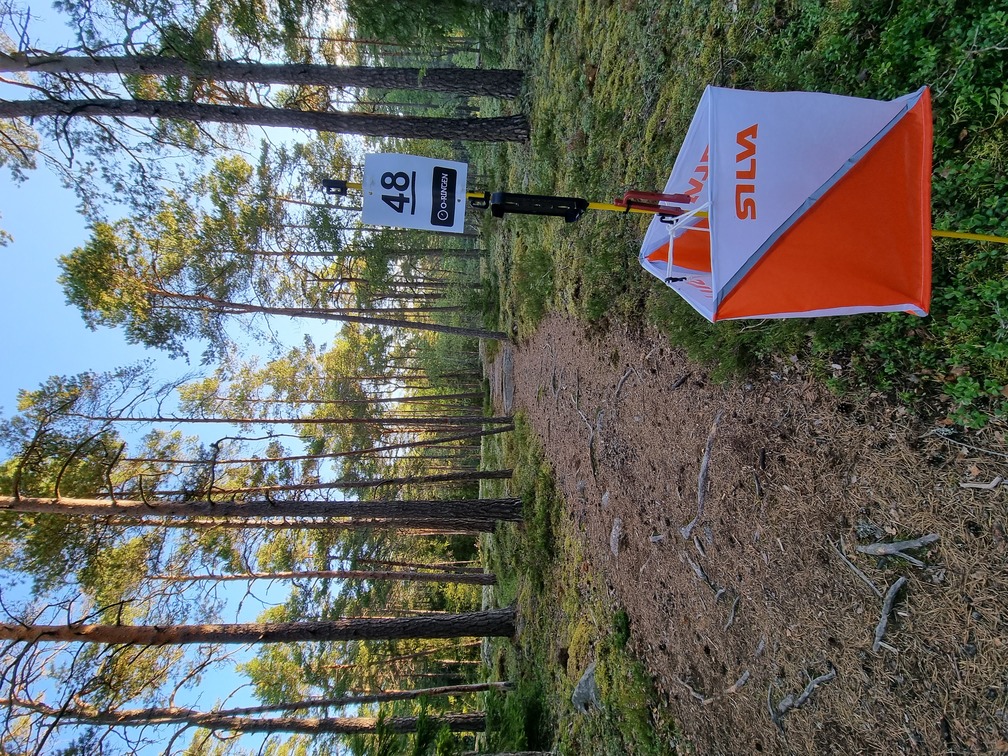 MTBO kontroll i skogen
